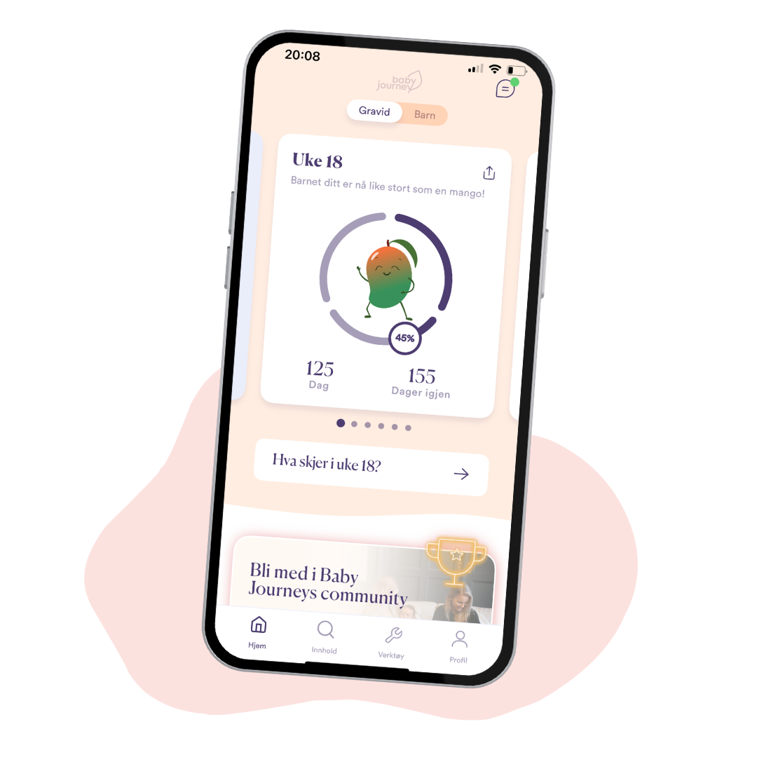 Graviditetsapp